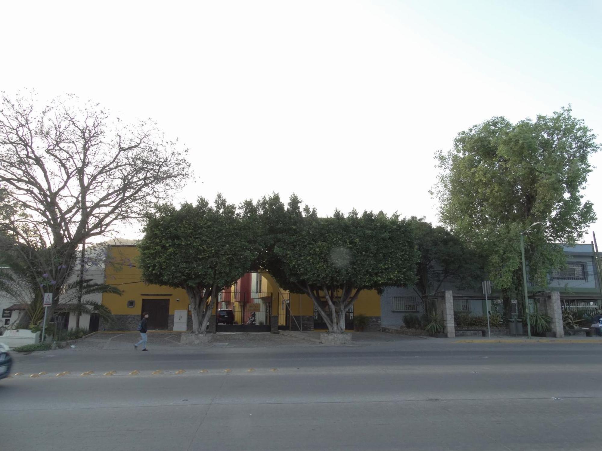 Hotel Camino De Allende San Miguel de Allende Bagian luar foto